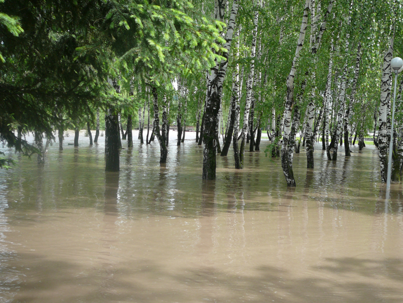 наводнение в горно-алтайске